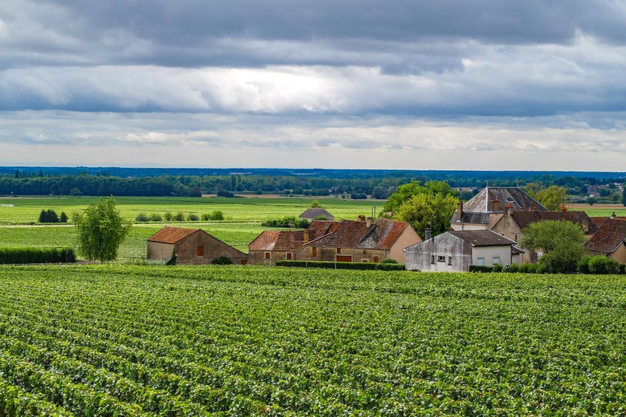 Maison Familiale Dans Village Viticole Ladoix-Serrigny Exterior photo